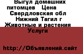 Выгул домашних питомцев › Цена ­ 400 - Свердловская обл., Нижний Тагил г. Животные и растения » Услуги   